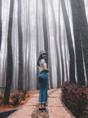 rekomendasi-tempat-wisata-jogja-yang-murah-dan-indahinstagrampesonajogja_11